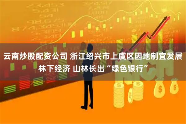 云南炒股配资公司 浙江绍兴市上虞区因地制宜发展林下经济 山林长出“绿色银行”