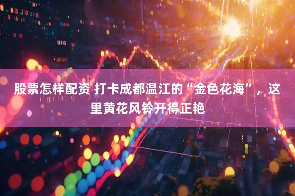 股票怎样配资 打卡成都温江的“金色花海”，这里黄花风铃开得正艳